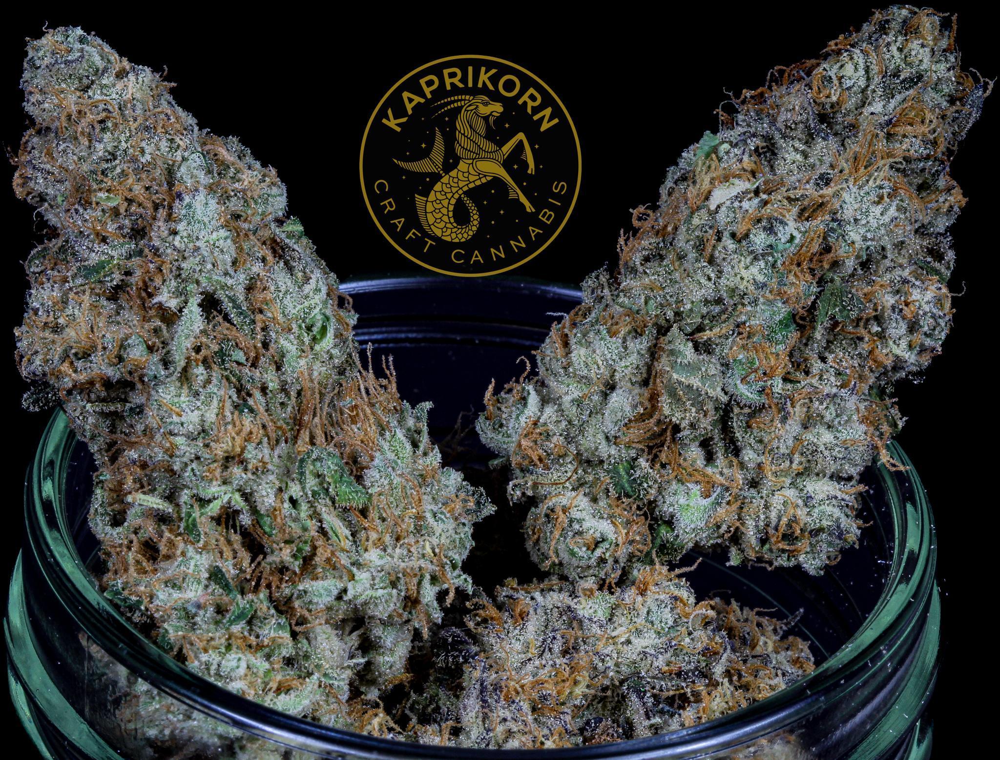 Photograph of product: Kaprikorn - Mule Fuel - Top Shelf Flower - 28g
