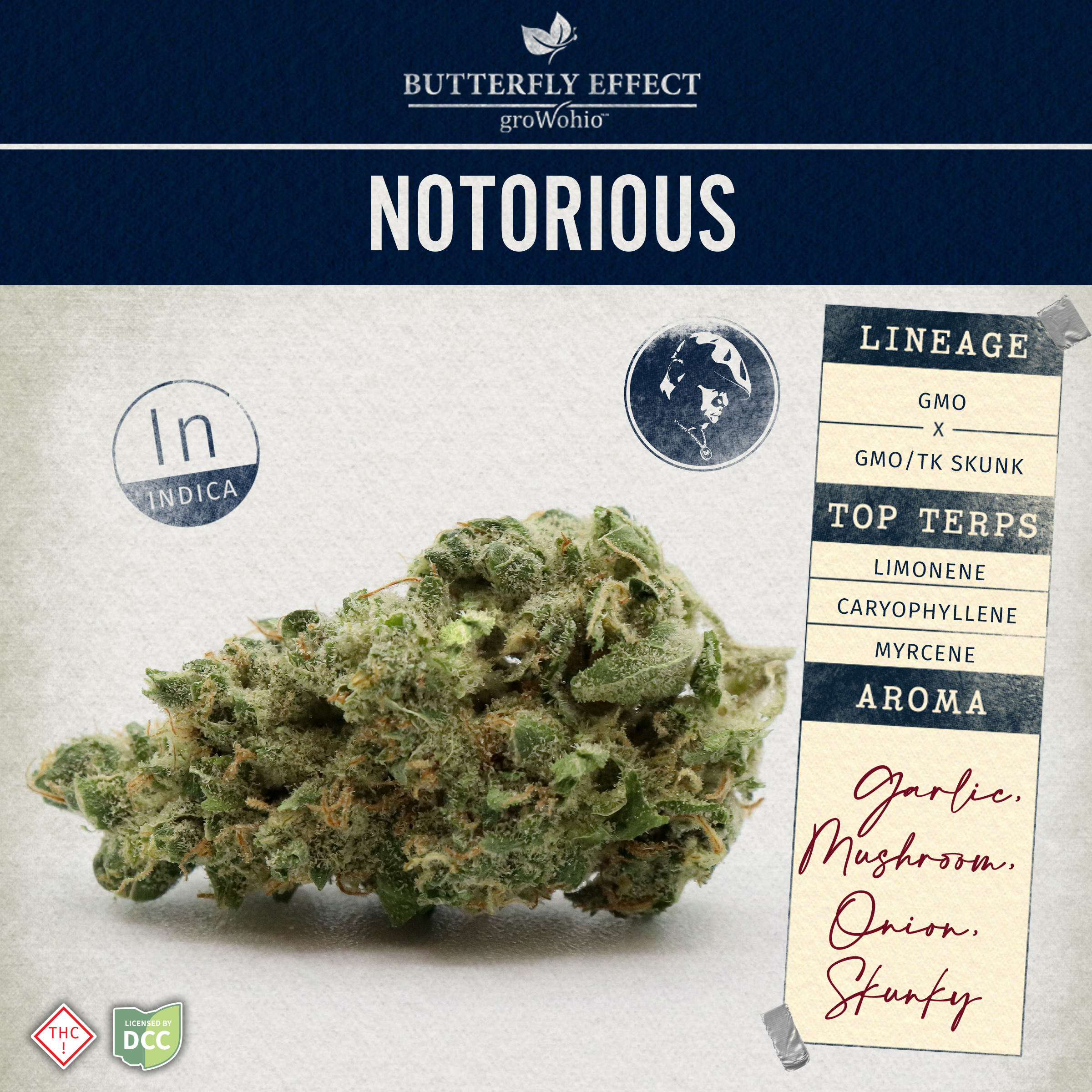Photograph of product: Notorious | 2.83g