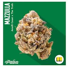 Photograph of product: INSA | MAZZULLA (H) - 14g