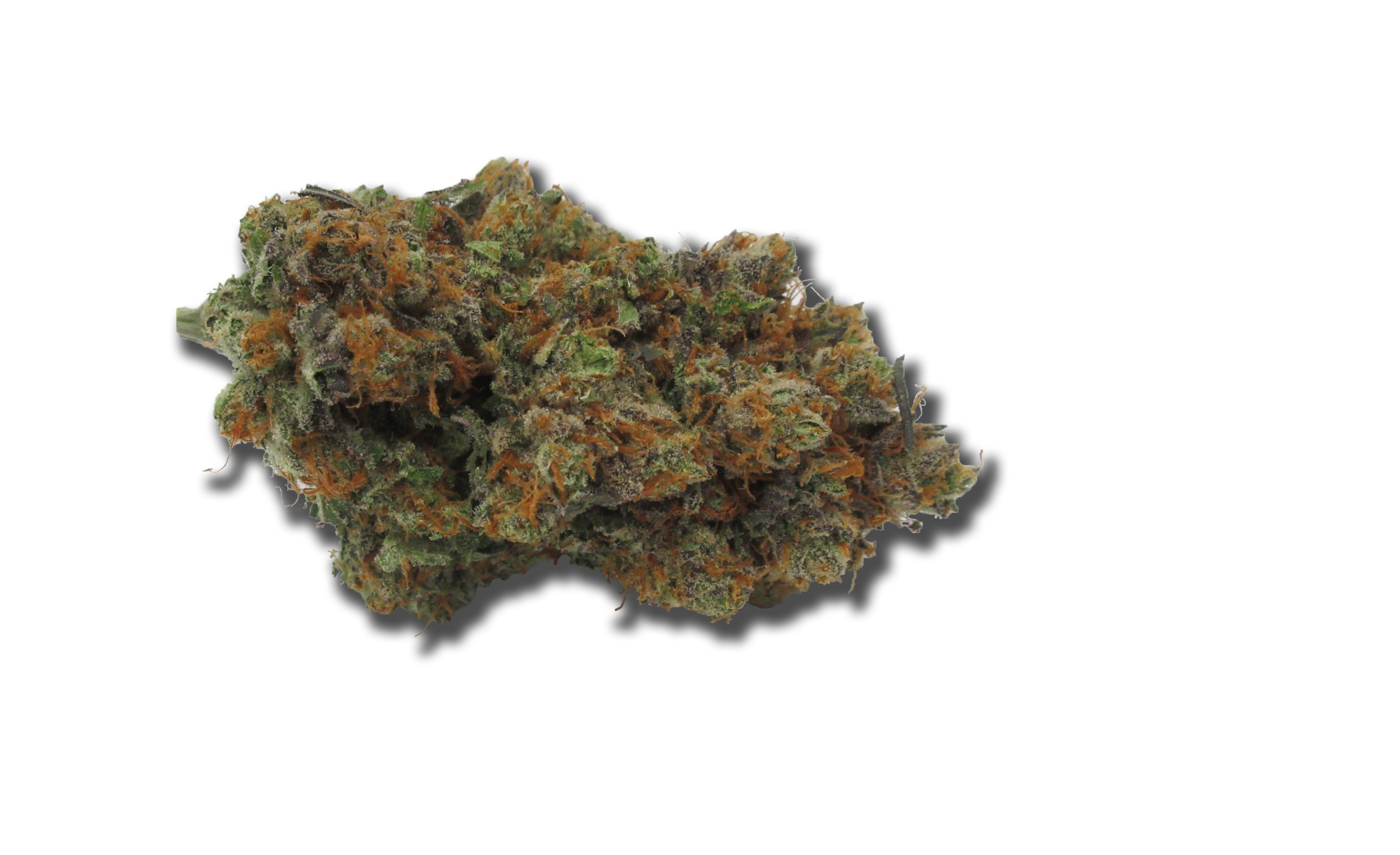 Photograph of product: B-Witched - 3.54g