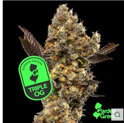 Photograph of product: Garden Greens 3.5g- Triple OG