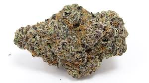 Photograph of product: Goldkine | Glitter Bomb | BULK Flower - 28g