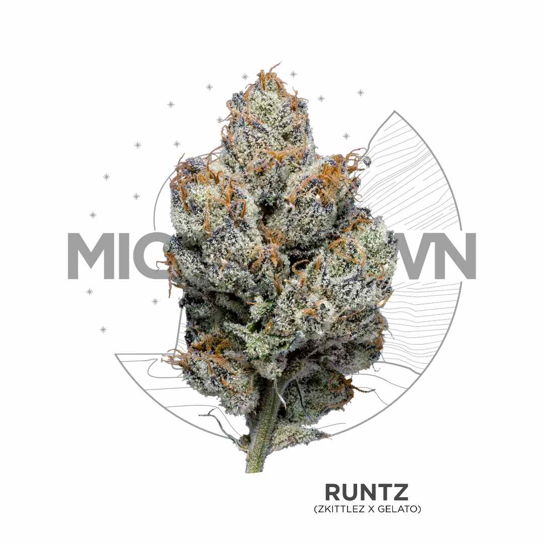 Photograph of product: Michigrown - Runtz 3.5g