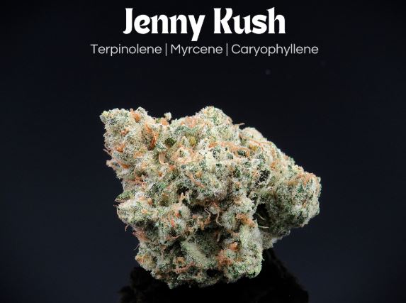 Photograph of product: Jenny Kush 2.83g