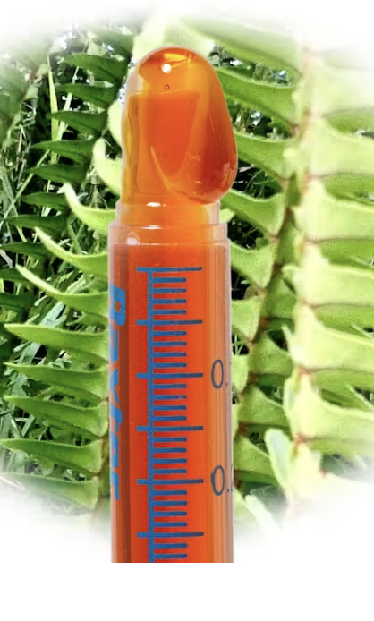 Photograph of product: Apothecary Elixir (Purified)