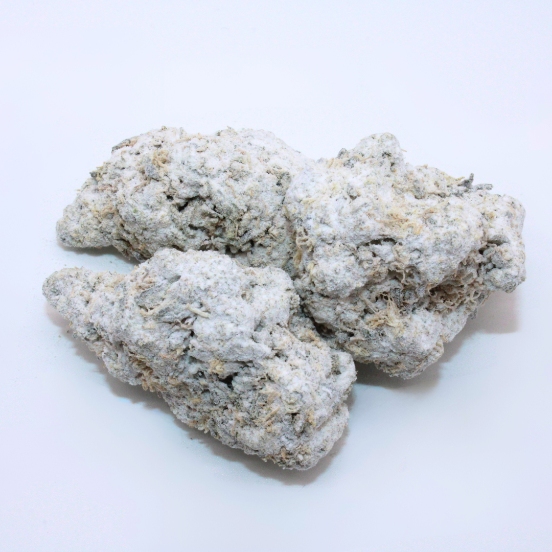 Photograph of product: Big Dawg Brands - Snowballs - Gushers