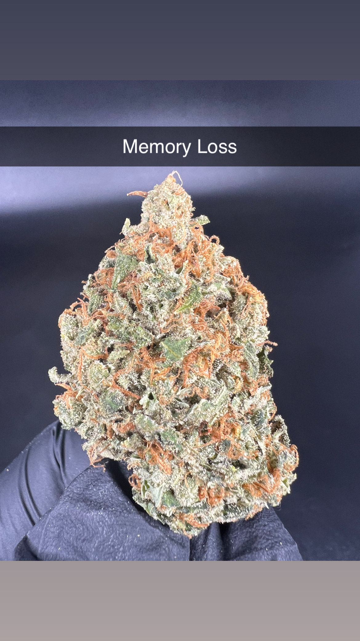Photograph of product: Memory Loss - Flower - Oui'd - 28g