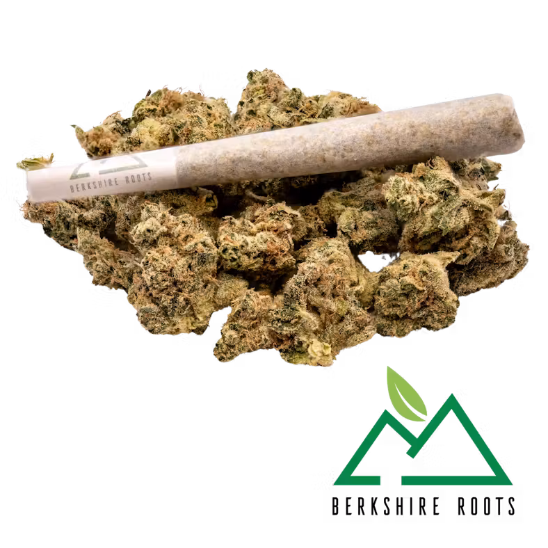 Photograph of product: Orange Chemeleon | Preroll | 1g