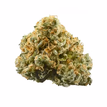 Photograph of Product: Workers Cannabis | Space Gello | Bulk Flower (LO) - 1g