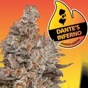 Photograph of product: Garden Greens - Dante's Inferno by Tokesly - 3.5g- Flower