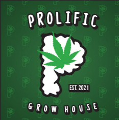 Photograph of product: Prolific - GMO Cake 3.5g Flower
