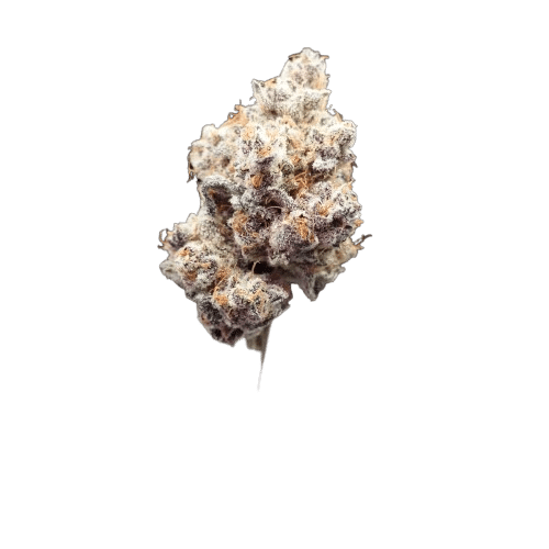 Photograph of product: Dante's Inferno #8 | 1/8 Indoor Flower | - 3.5g