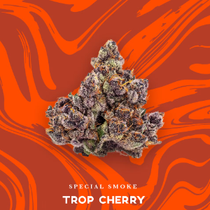Photograph of product: Trop Cherry (S) - Vivid - 3.5g Pre-Packaged