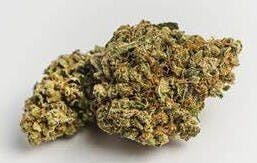 Photograph of product: Flower Lot- Moby Dick- 26% TH-oui