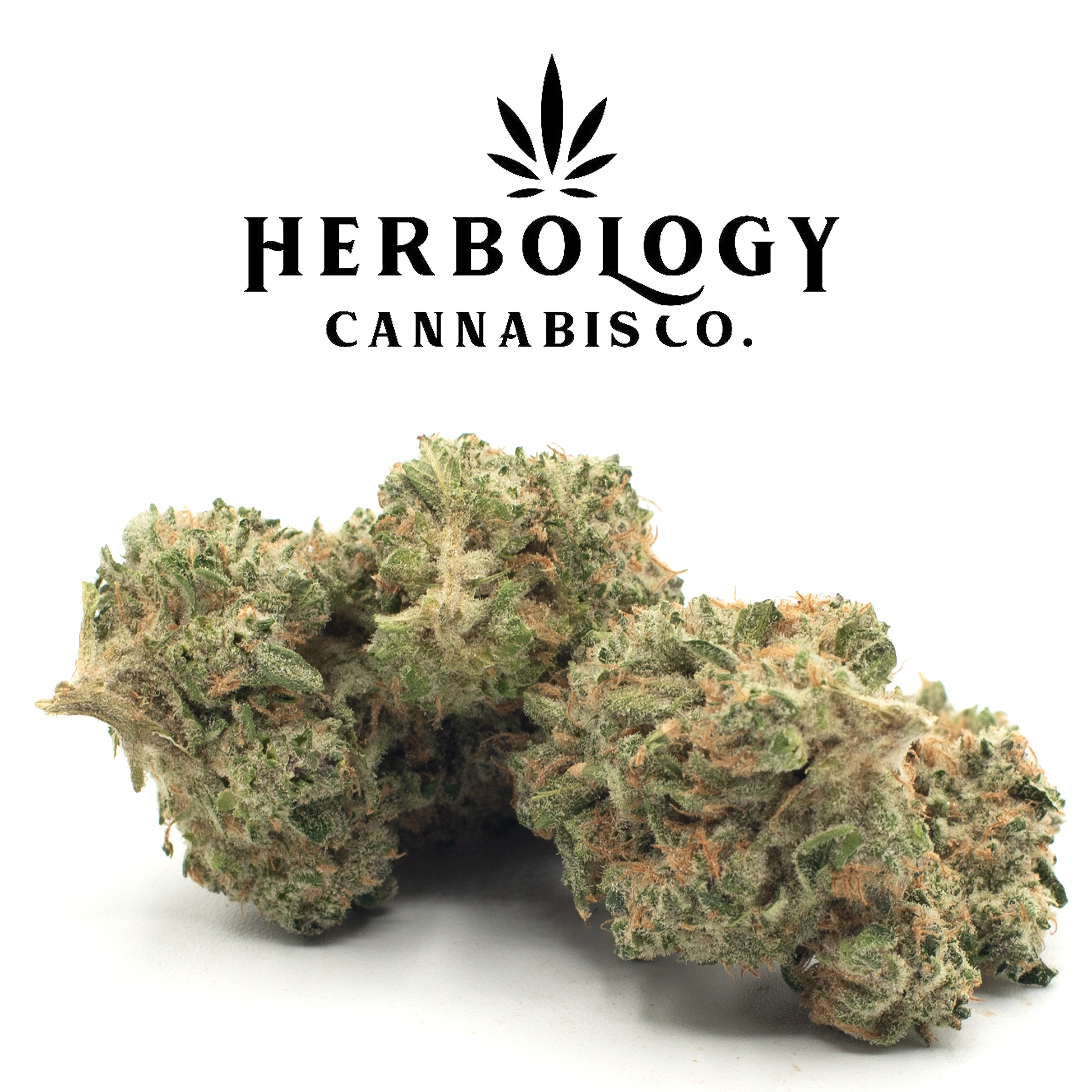 Photograph of product: Grown Rogue | Blue Runtz | Deli - 14g