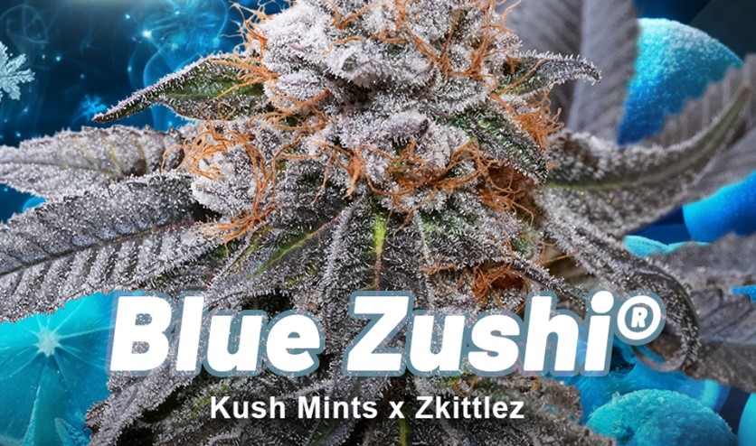 Photograph of Product: (00706) Blue Zushi 7G
