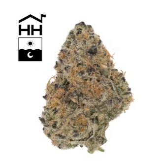 Photograph of product: Dulce De Uva Harbor House - 3.5g