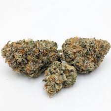 Photograph of product: Flower | Stink Palm | Mr. Tree - 14g