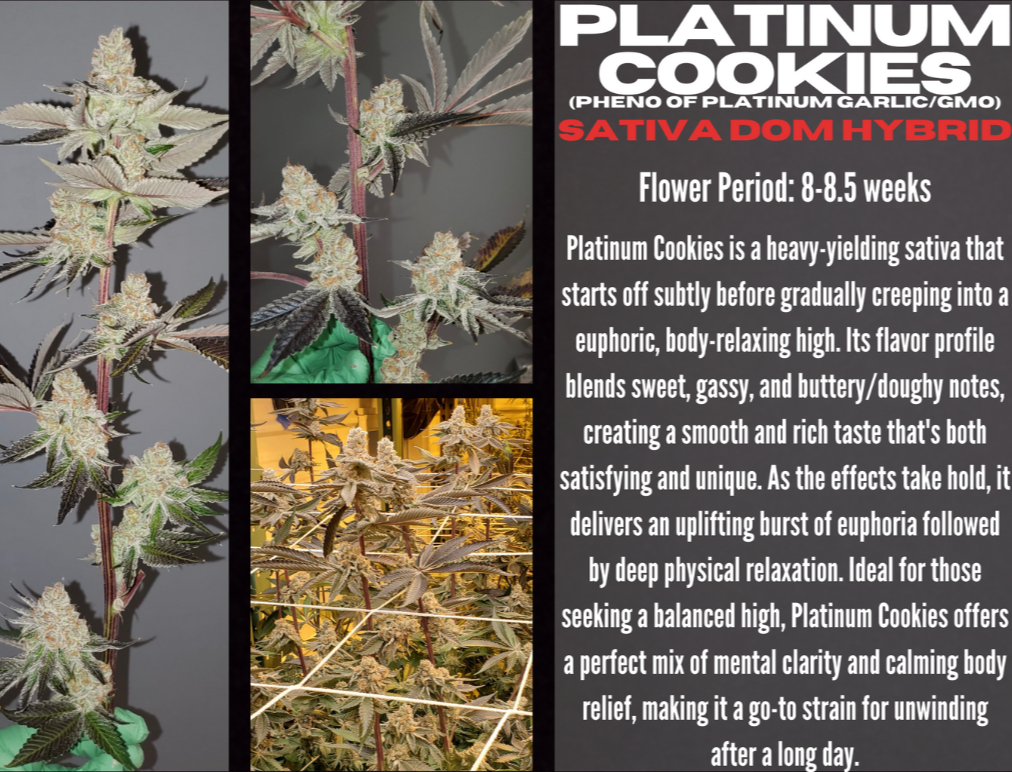 Photograph of product: Platinum Cookies by High Vibes - 28g