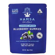 Photograph of product: Hamsa | Blueberry | Fast Acting Gummies | 100mg 10pk