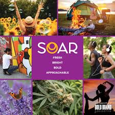 Photograph of product: SOAR | 1g | Doser Dablicator