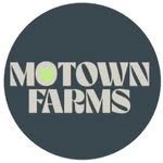 Photograph of product: DOUBLE SCOOP - 1.5G au chocolat HOLE