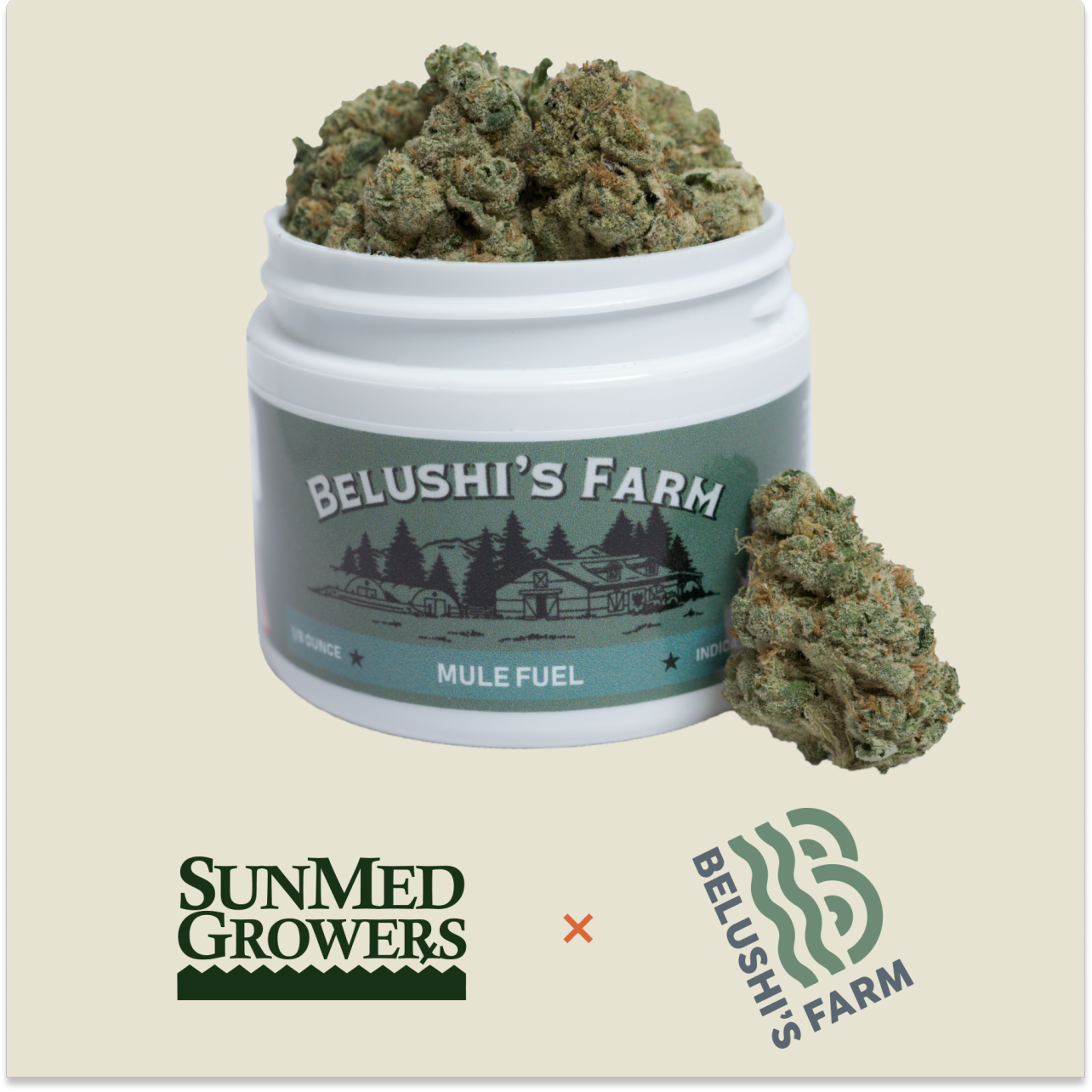 Photograph of product: (BF) Mule Fuel - 3.5g