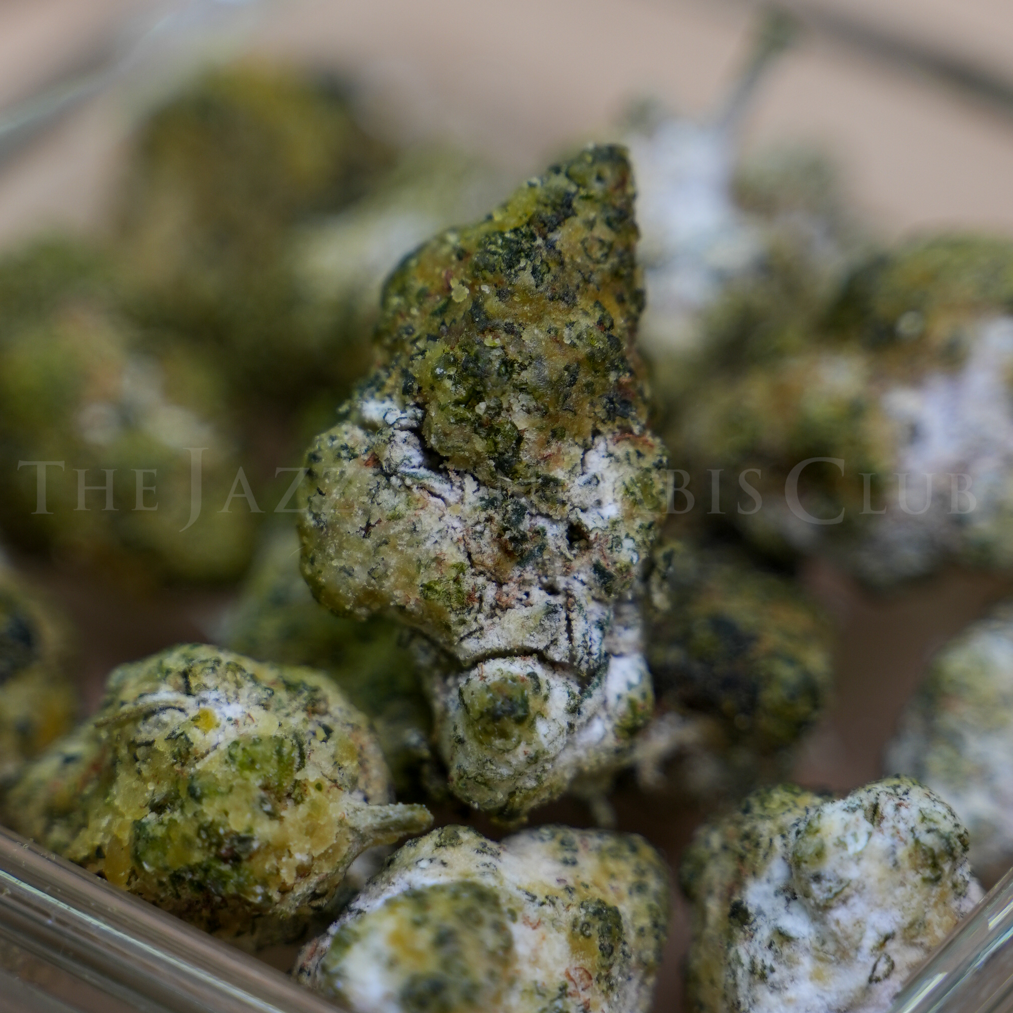 Photograph of product: Fresh Canna - Snow Caps - Lemon Cake - 28g