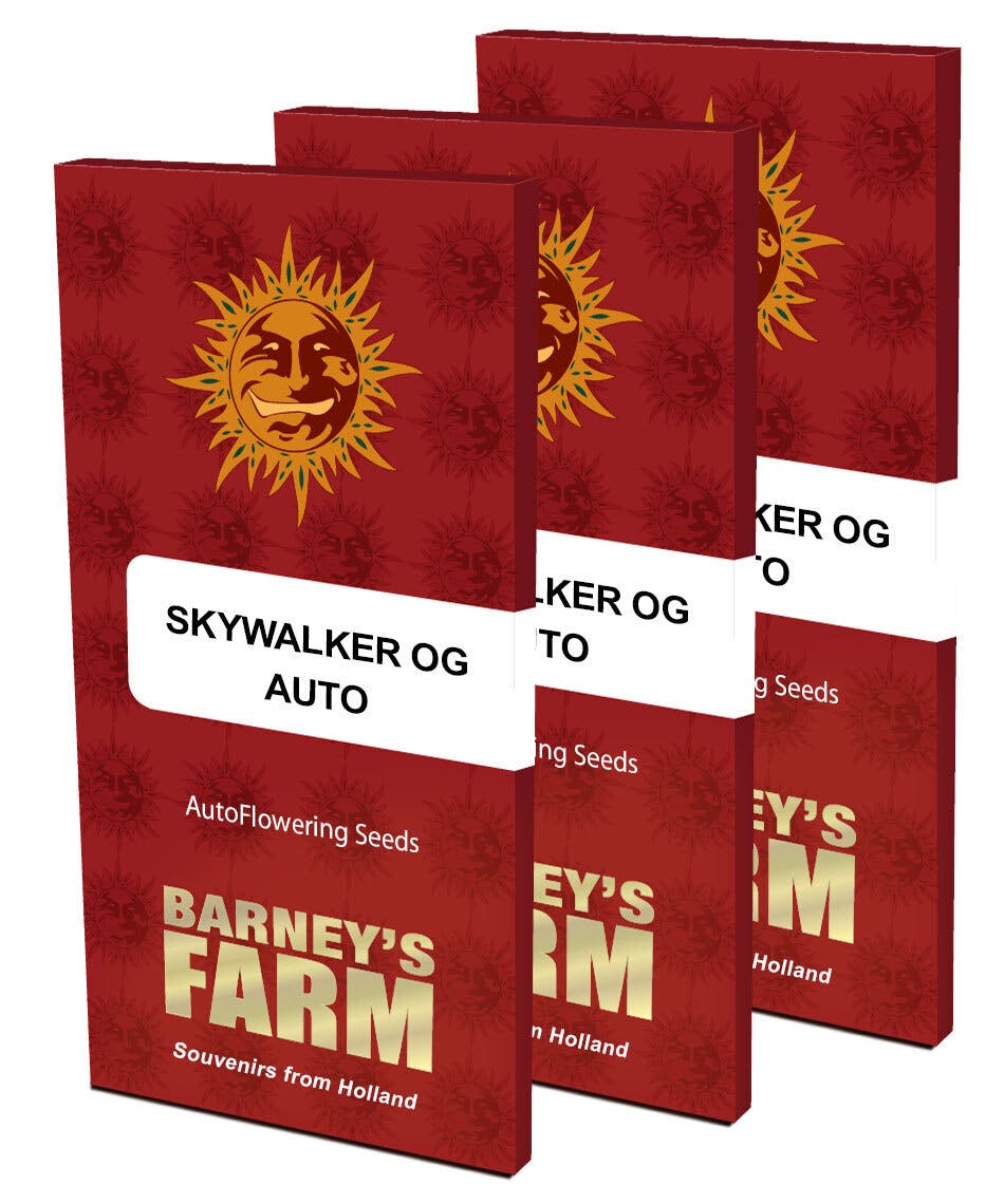 Photograph of product: UGS - Skywalker OG Auto (5 Pack) Barney's Farm. - Oui'd Hybrid Oui'd Seeds