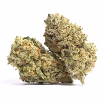 Photograph of product: Mj Verdant | Tangerine Dream | Flower | Bulk / Deli - 28g