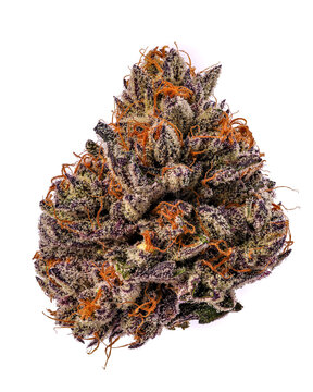 Photograph of product: Purple Hindu Kush | Oui'd | BZS Resource - 28g