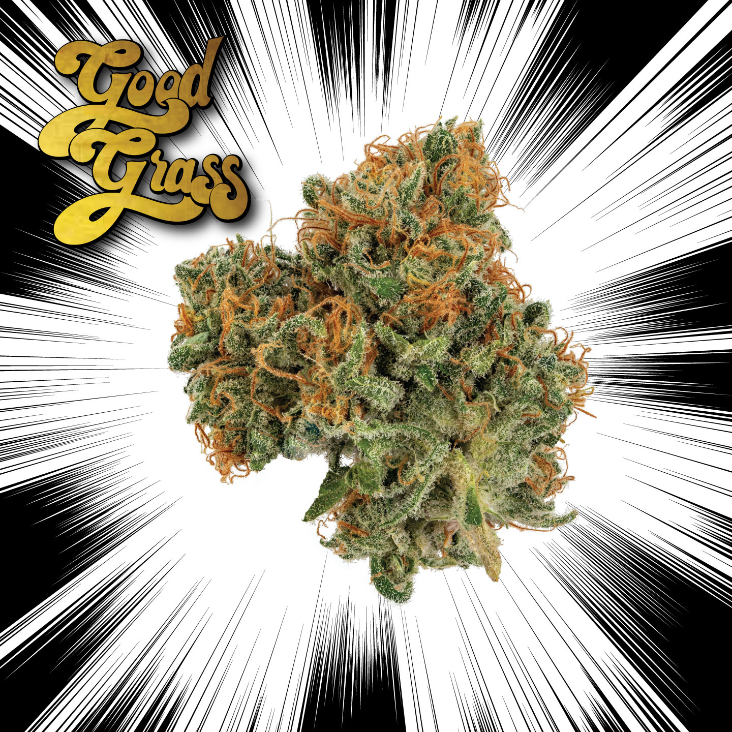 Photograph of product: Head Cheese | Good Grass - 3.5g