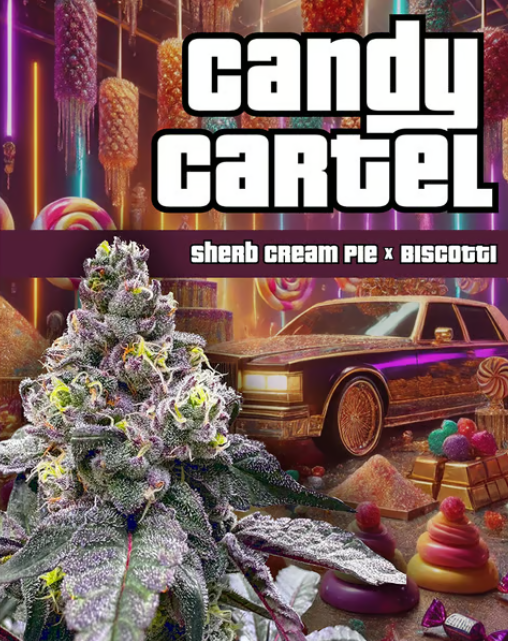 Photograph of product: Da Fakto | Candy Cartel | Deli-Style Flower - 28g