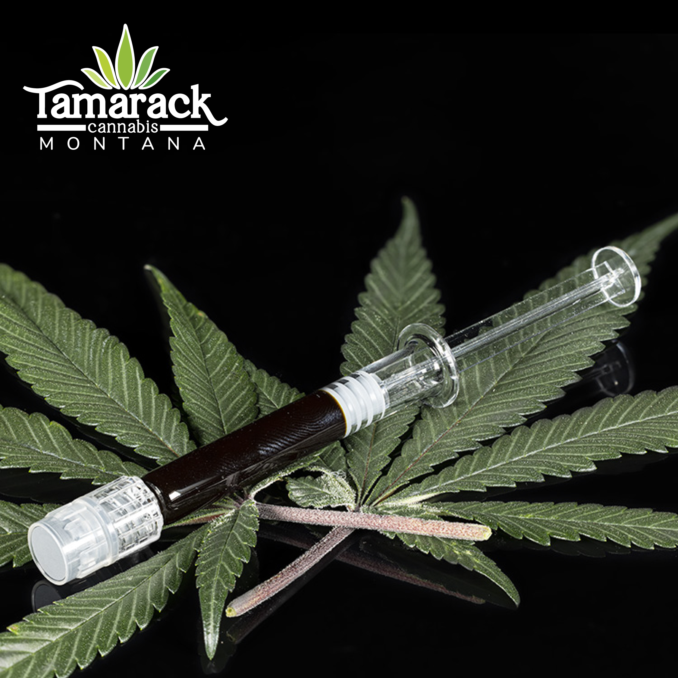 Photograph of product: Tamarack Oui'd RSO Syringe