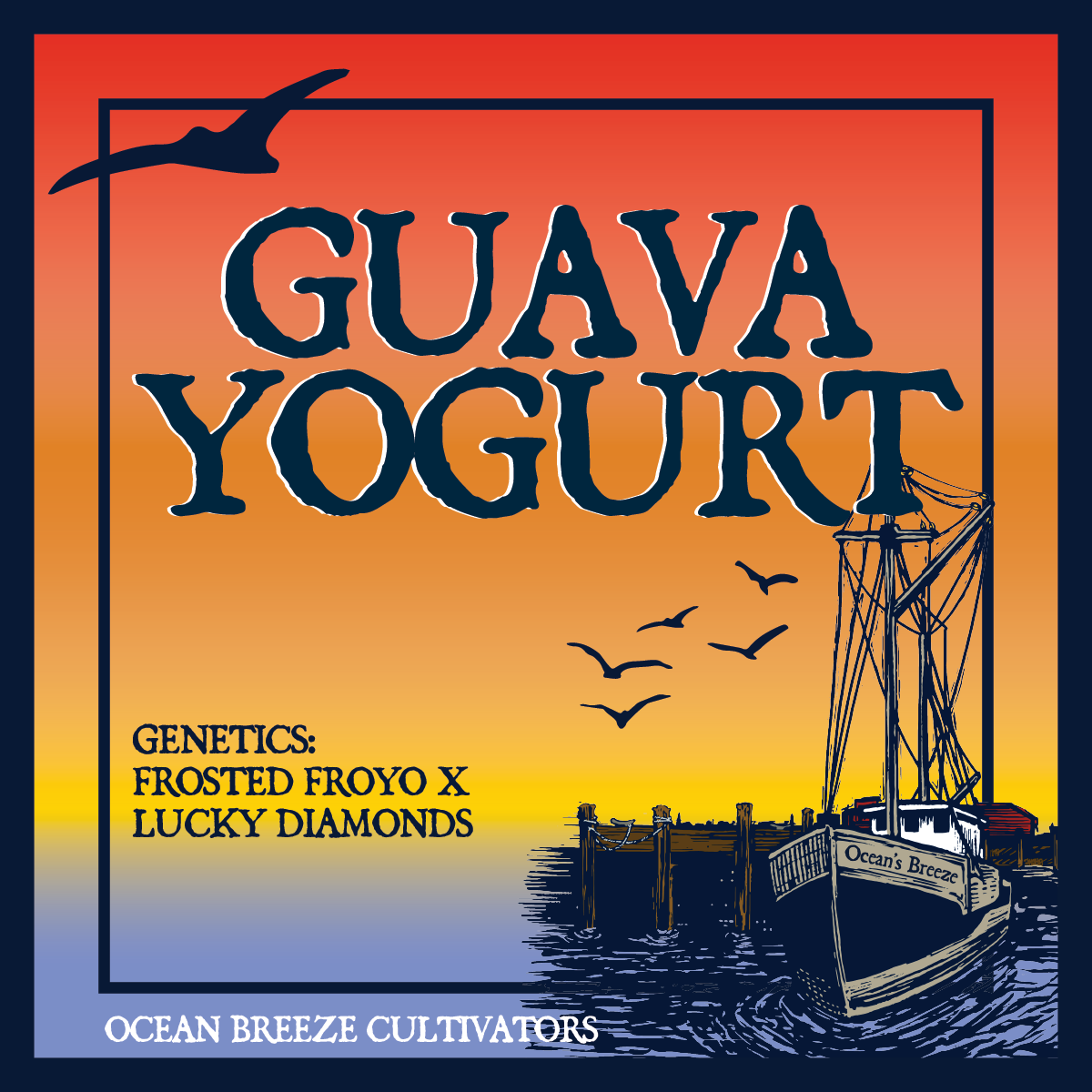Photograph of product: Guava Yogurt #5 | Live au chocolat Rosin (TAX INCLUDED)