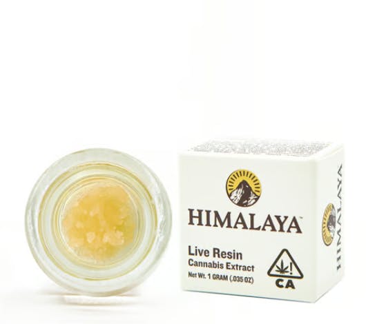 Photograph of product: Chemdawg - Terp Sugar Concentrate - 1G - 