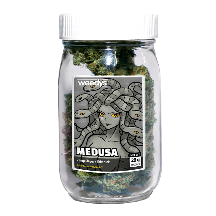 Photograph of product: Medusa | 1oz | Stash Jar - 28g