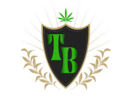 Photograph of product: TOKING | INFUSED BLOINT | GHOST TRAIN HAZE