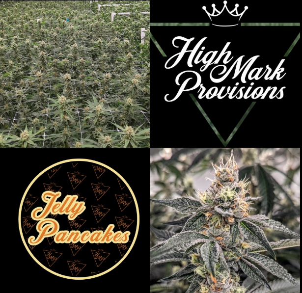 Photograph of product: Jelly Pancakes 0.5g Pre-Roll | 5pk - Highmark Provisions