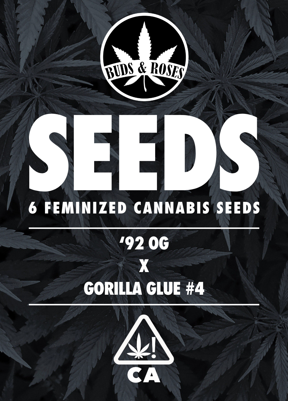 Photograph of product: 6pk Fem Seeds - Gorilla Glue #4 x 92 OG