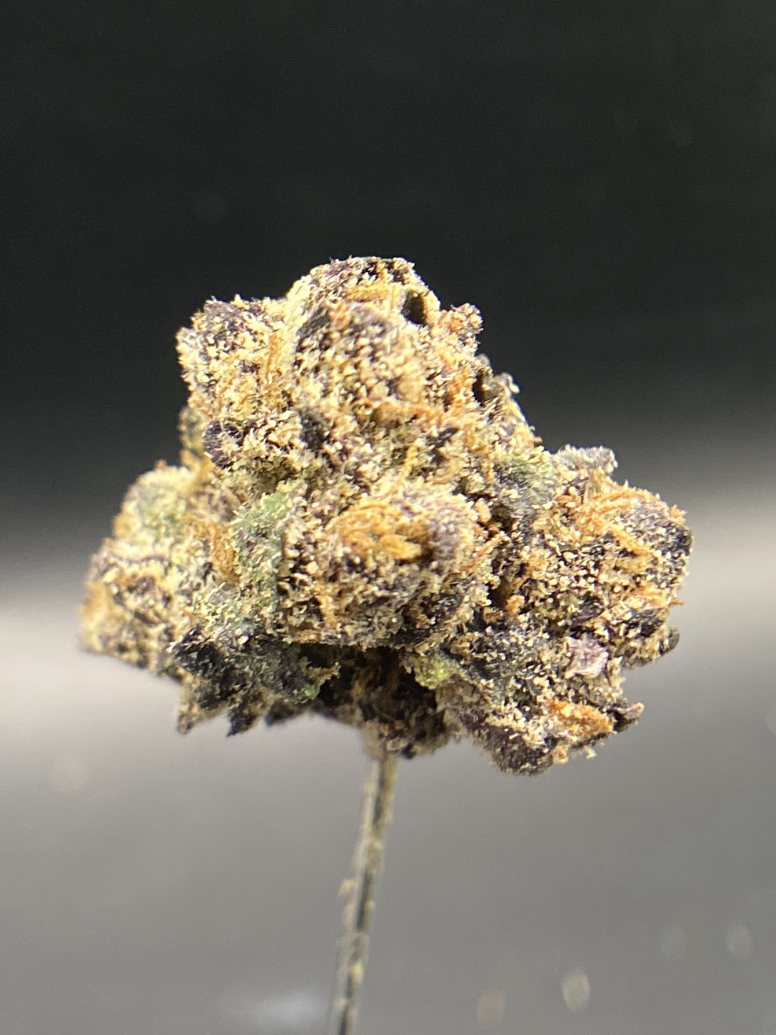 Photograph of product: Growing Up | Oui'd-Hybrid | Cherry Bang Bang | $90 OZ - 28g