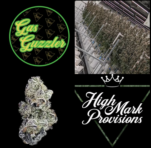 Photograph of product: Gas Guzzler Flower | 3.5g - Highmark Provisions