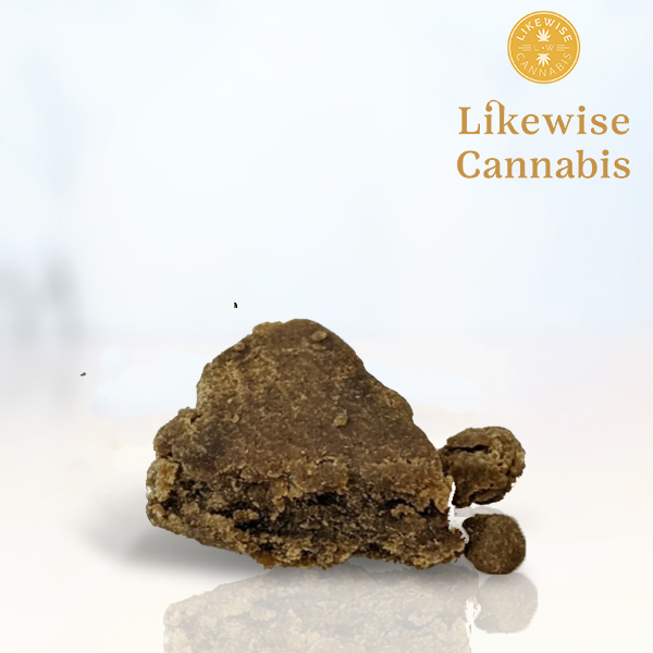 Photograph of product: ANIMAL TREE 1G au chocolat