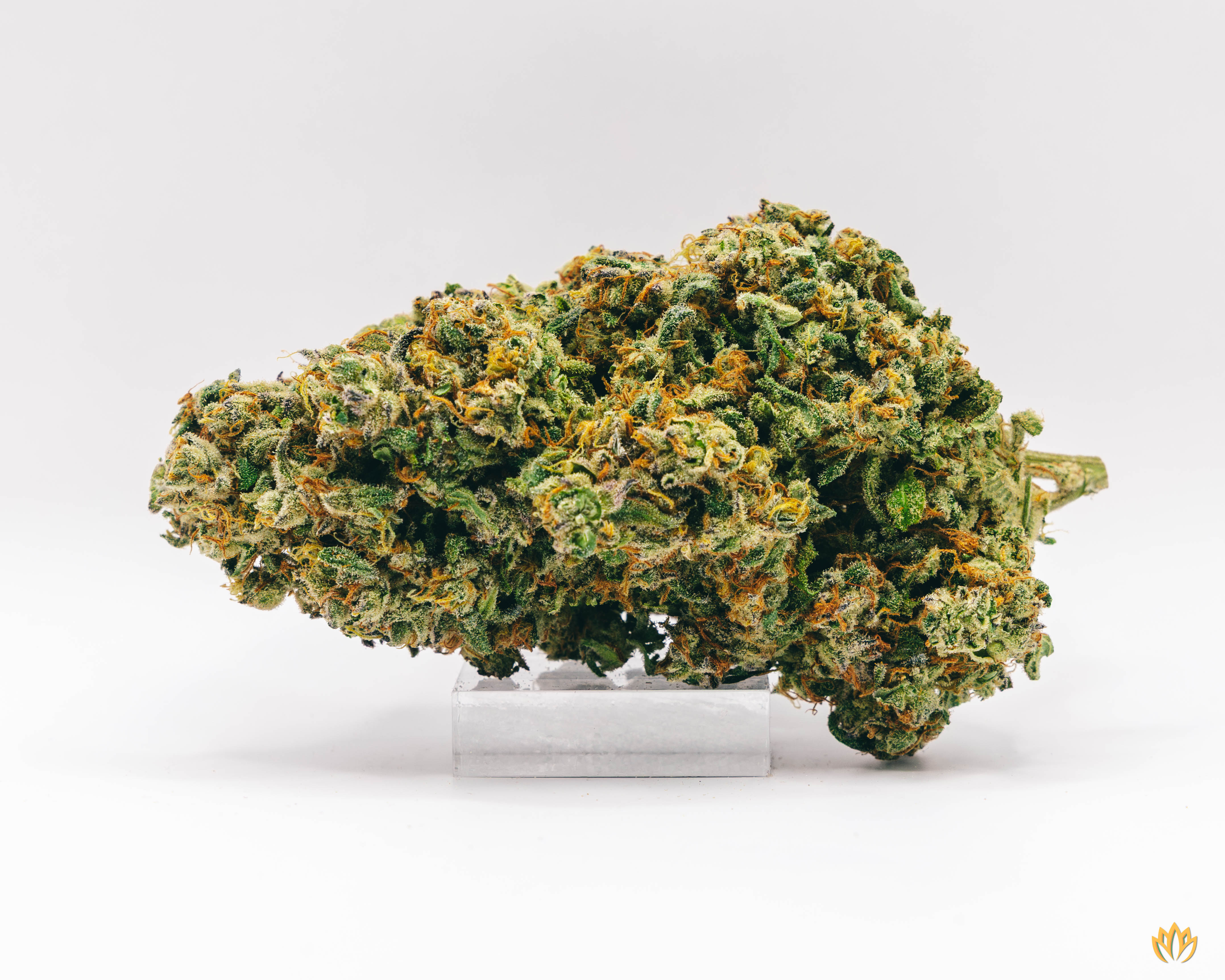 Photograph of product: Crockett's Haze - 3.5g