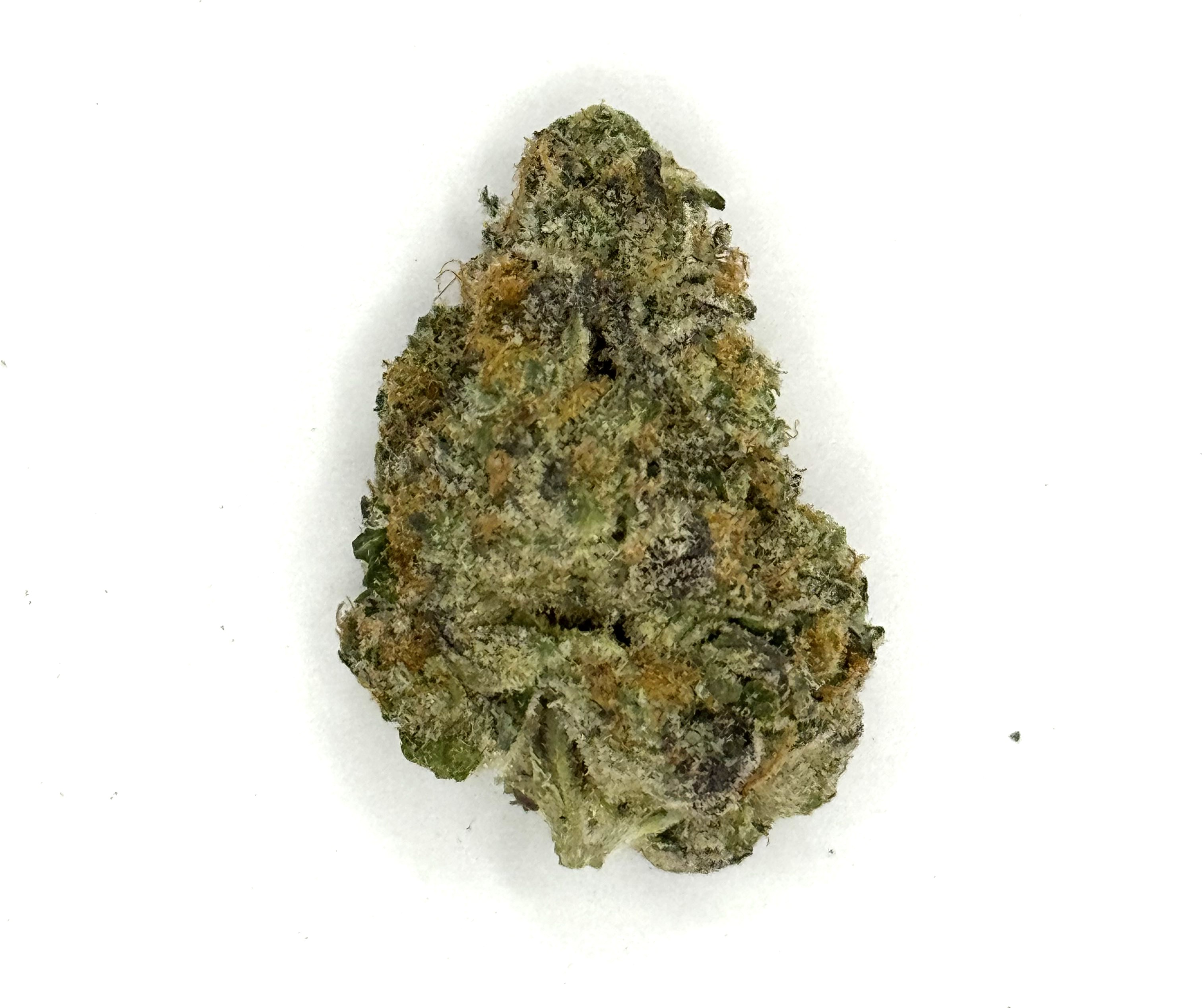 Photograph of product: Dosibow - 14g