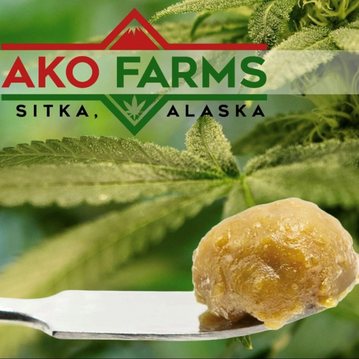 Photograph of product: AKO Rosin 1g Sour Al