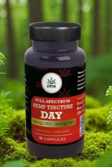 Photograph of product: Erva | Day Capsules CBG:CBD Full Spectrum Hemp (30 ct)