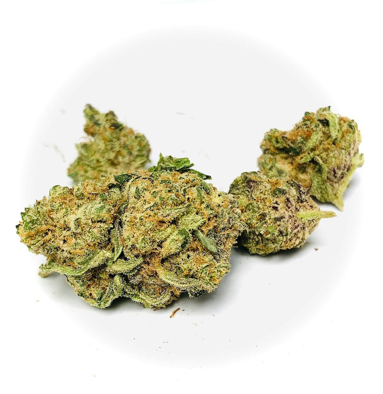 Photograph of product: Intergalactic - 