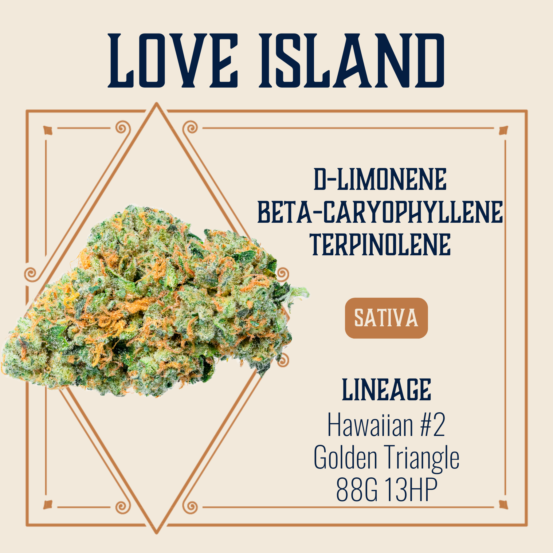 Photograph of product: Love Island Flower | 3.5g