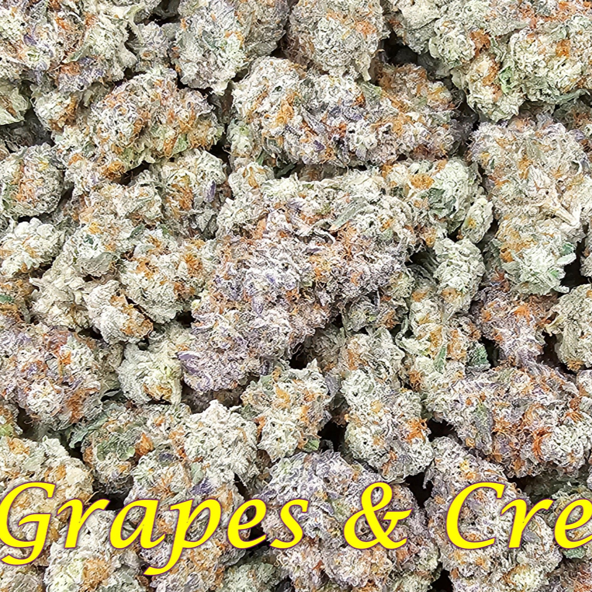 Photograph of product: Grapes & Cream Bud 1g